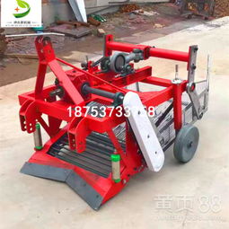 大蒜花生收获机价格解析 四轮平地花生收获机的市场价位